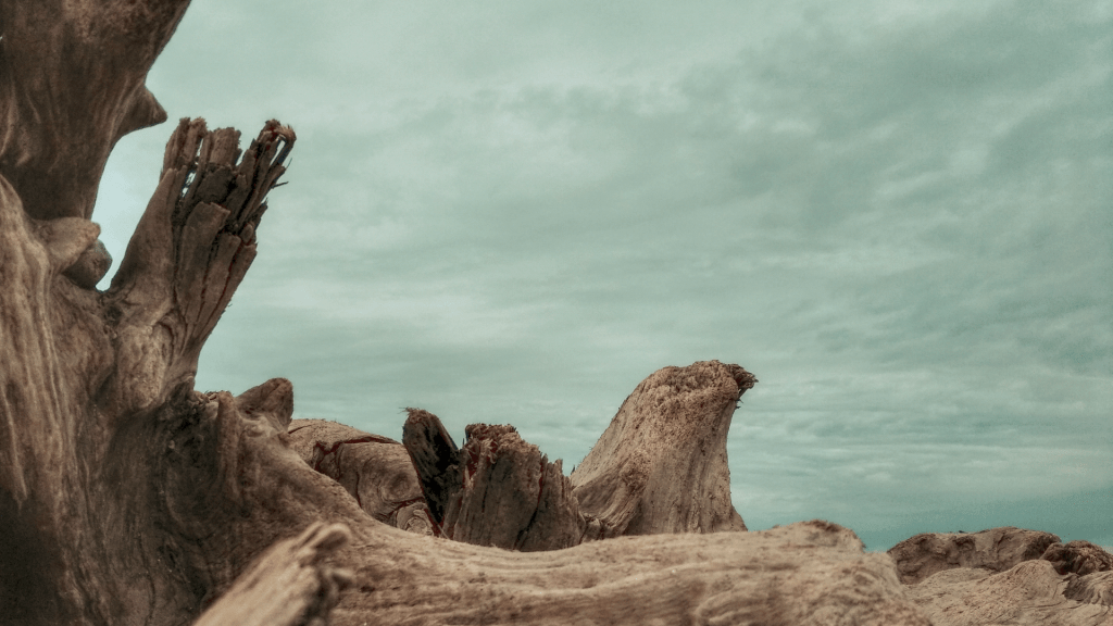 Joined a cover&nbsp;band